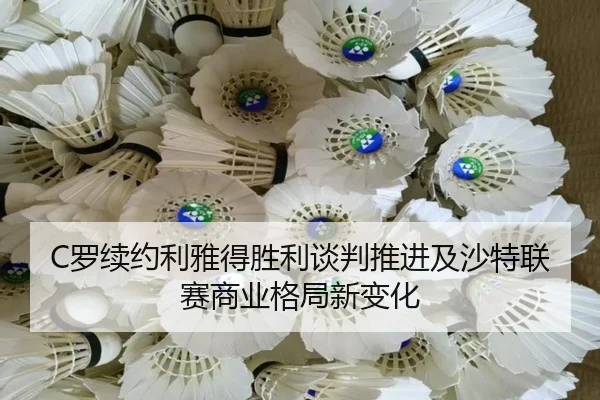 luo-xu-yue-li-ya-de-sheng-li-tan-pan-tui-jin-ji-sha-te-lian-sai-shang-ye-ge-ju-xin-bian-hua-2-185.jpg