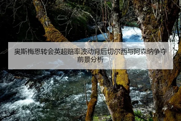 奥斯梅恩转会英超赔率波动背后切尔西与阿森纳争夺前景分析